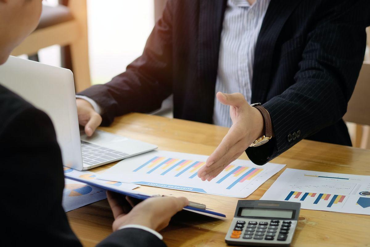 What does an auditor do