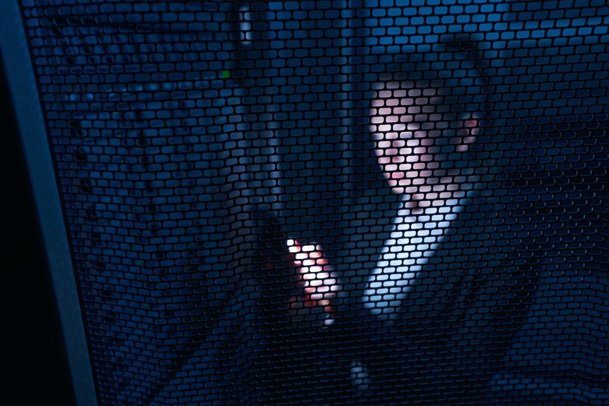 What does a database administrator do