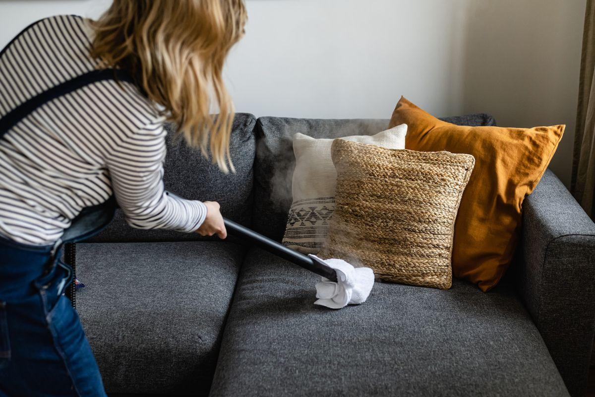 Cabin cleaner example skills