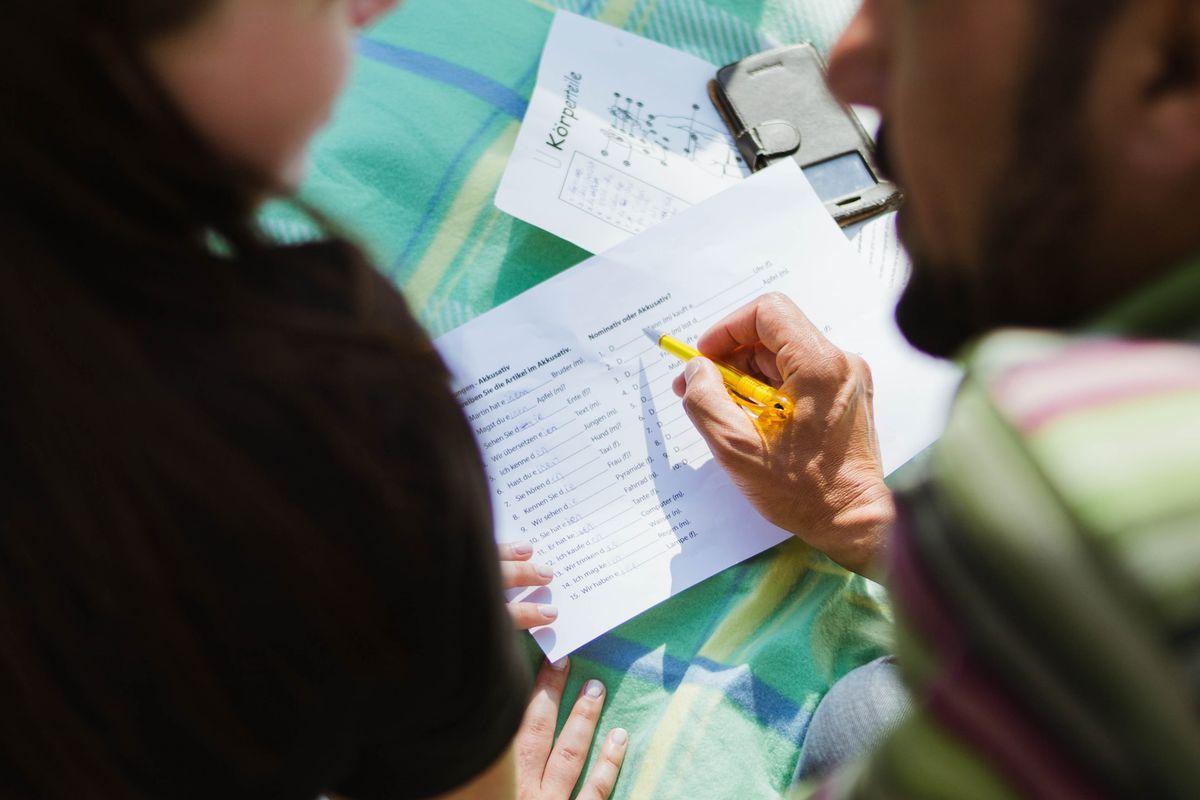 What does a lead teacher do