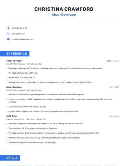 Abap-Developer Resume
