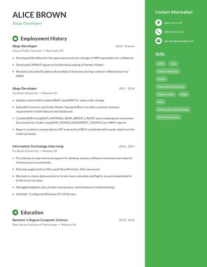 Abap-Developer Resume