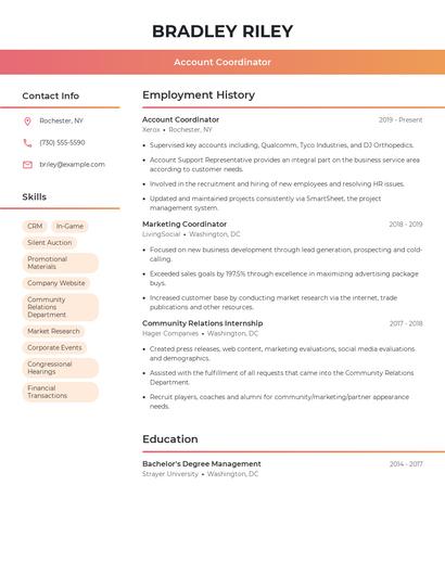 Resume example 3
