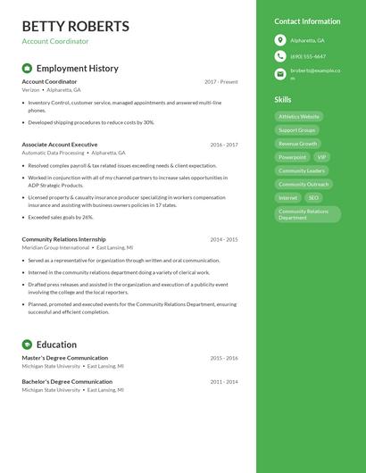 Resume example 5