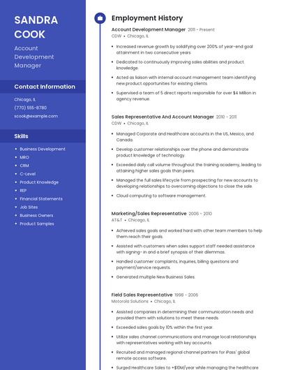 Resume example 5