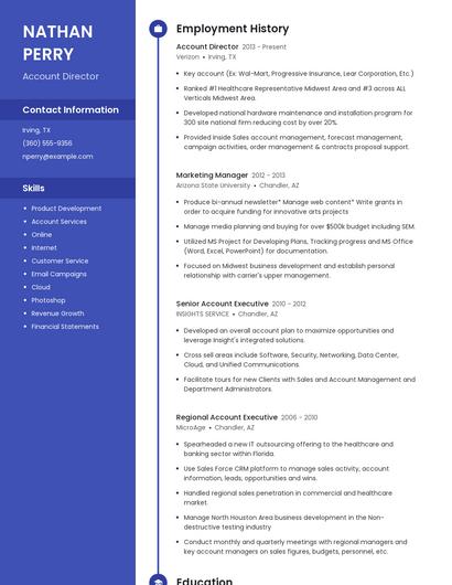 Account Director Resume