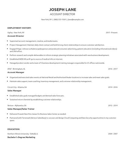 Account Director Resume