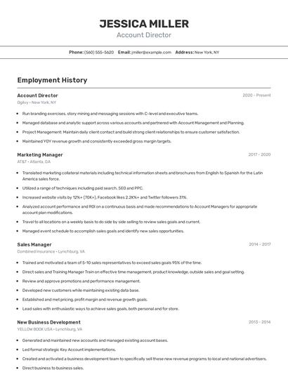 Account Director Resume
