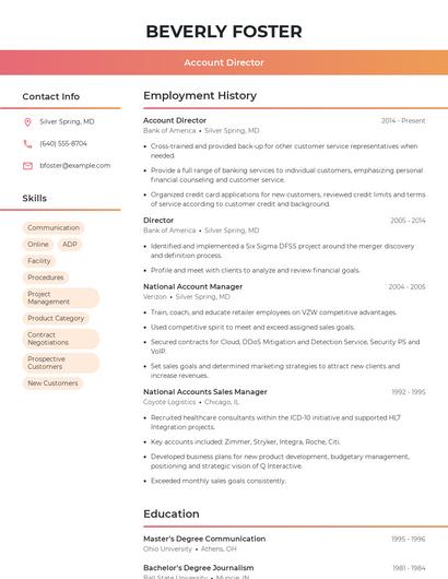 Account Director Resume