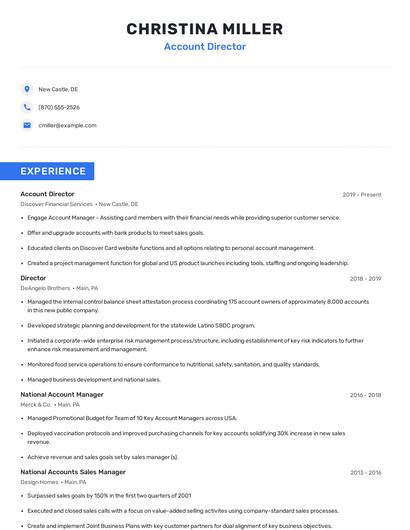 Account Director Resume