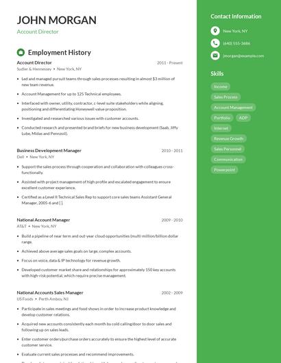Account Director Resume