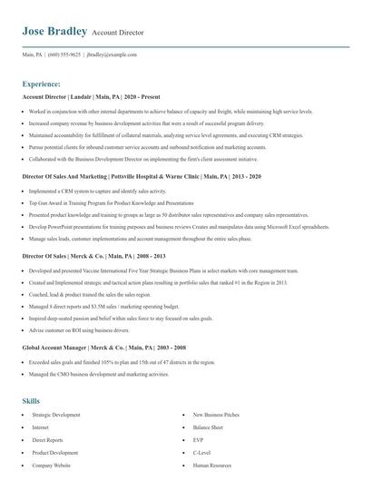 Account Director Resume
