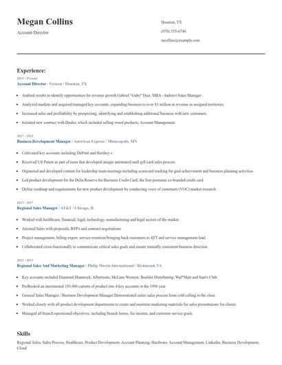 Account Director Resume