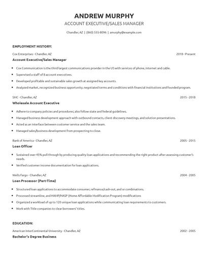 Account Executive/Sales Manager Resume