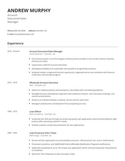 Account Executive/Sales Manager Resume