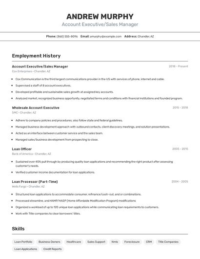 Account Executive/Sales Manager Resume