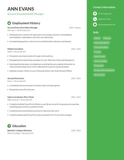 Resume example 4