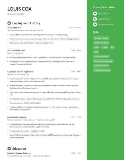 Resume example 5
