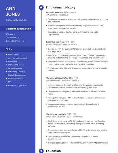 Account Manager Resume