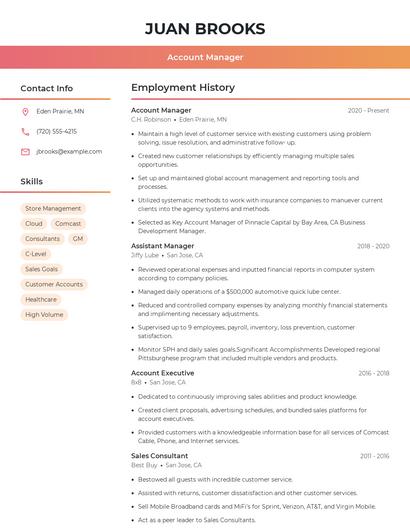 Account Manager Resume