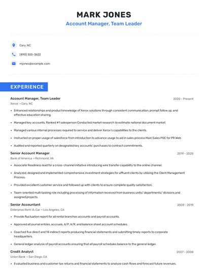 Account Manager, Team Leader Resume