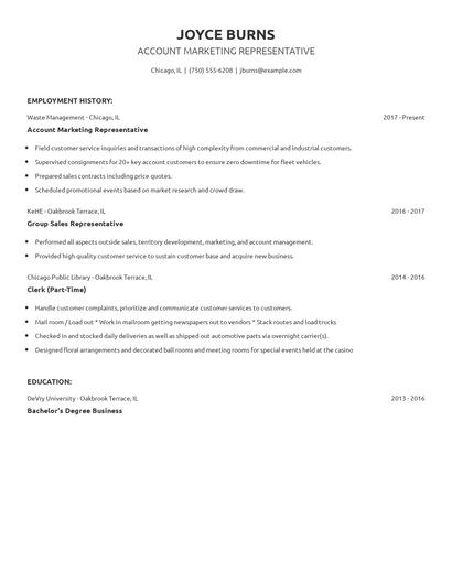 Account Marketing Representative Resume