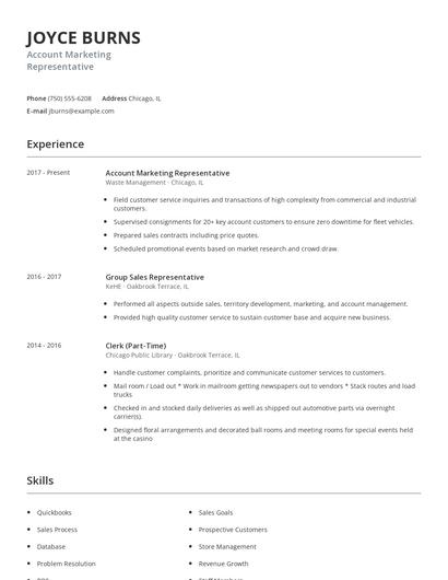 Account Marketing Representative Resume
