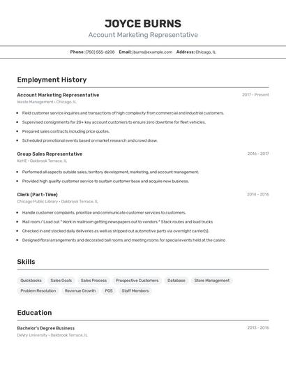 Account Marketing Representative Resume