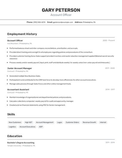 Resume example 2
