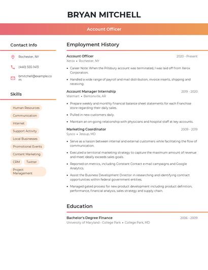 Resume example 3