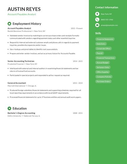 Resume example 5
