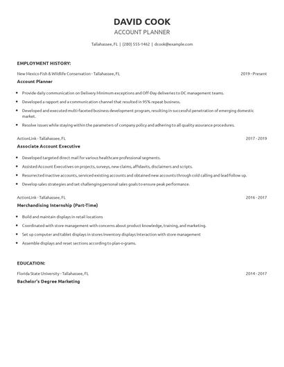 Account Planner Resume