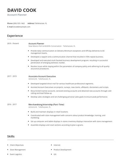 Account Planner Resume