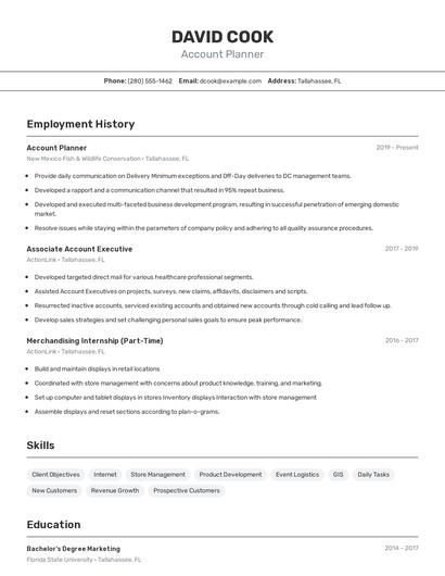 Account Planner Resume