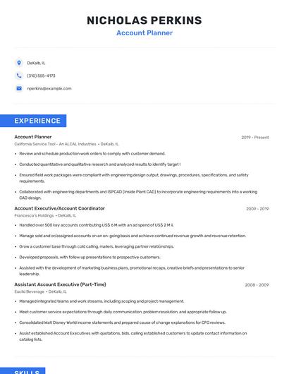 Account Planner Resume