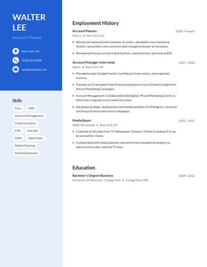Account Planner Resume