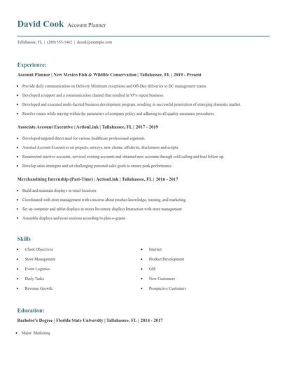 Account Planner Resume