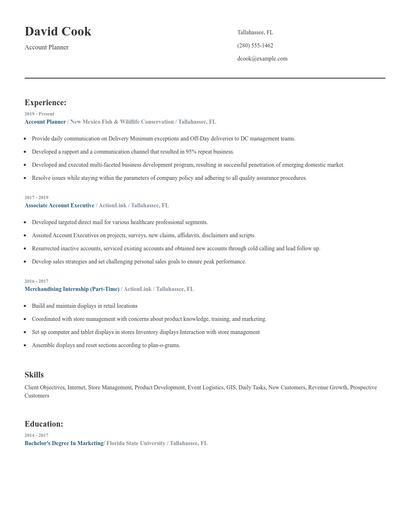 Account Planner Resume
