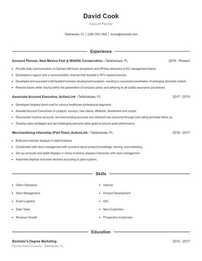 Account Planner Resume