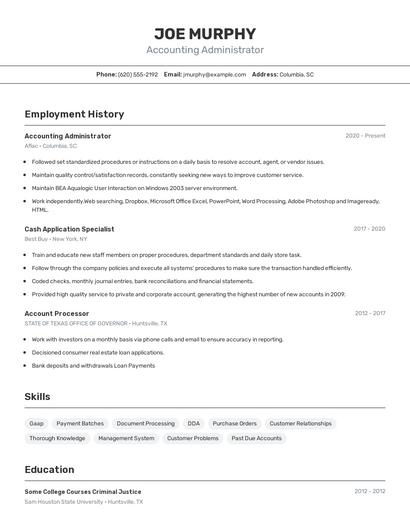 Resume example 2
