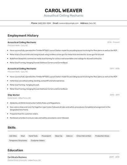 Acoustical Ceiling Mechanic Resume