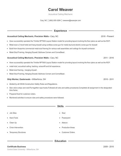 Acoustical Ceiling Mechanic Resume