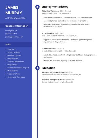 Resume example 4