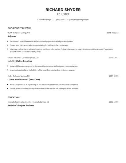Adjuster Resume
