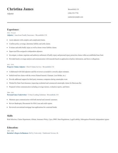 Adjuster Resume