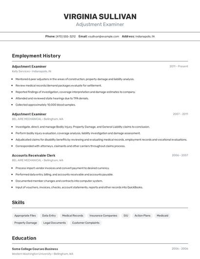 Adjustment Examiner Resume