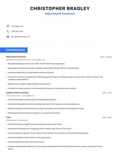 Adjustment Examiner Resume
