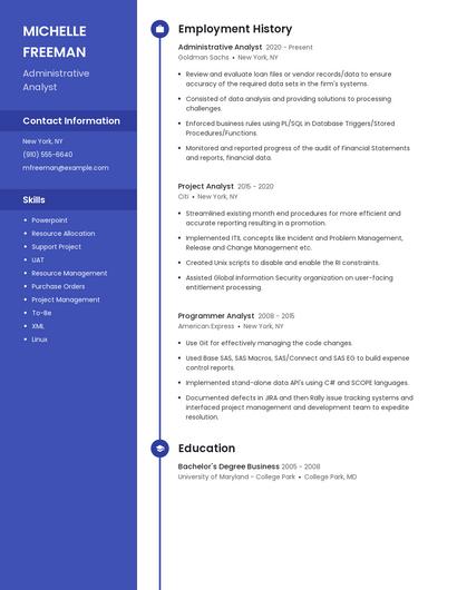 Resume example 5