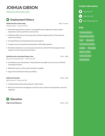 Resume example 5