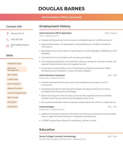Resume example 3